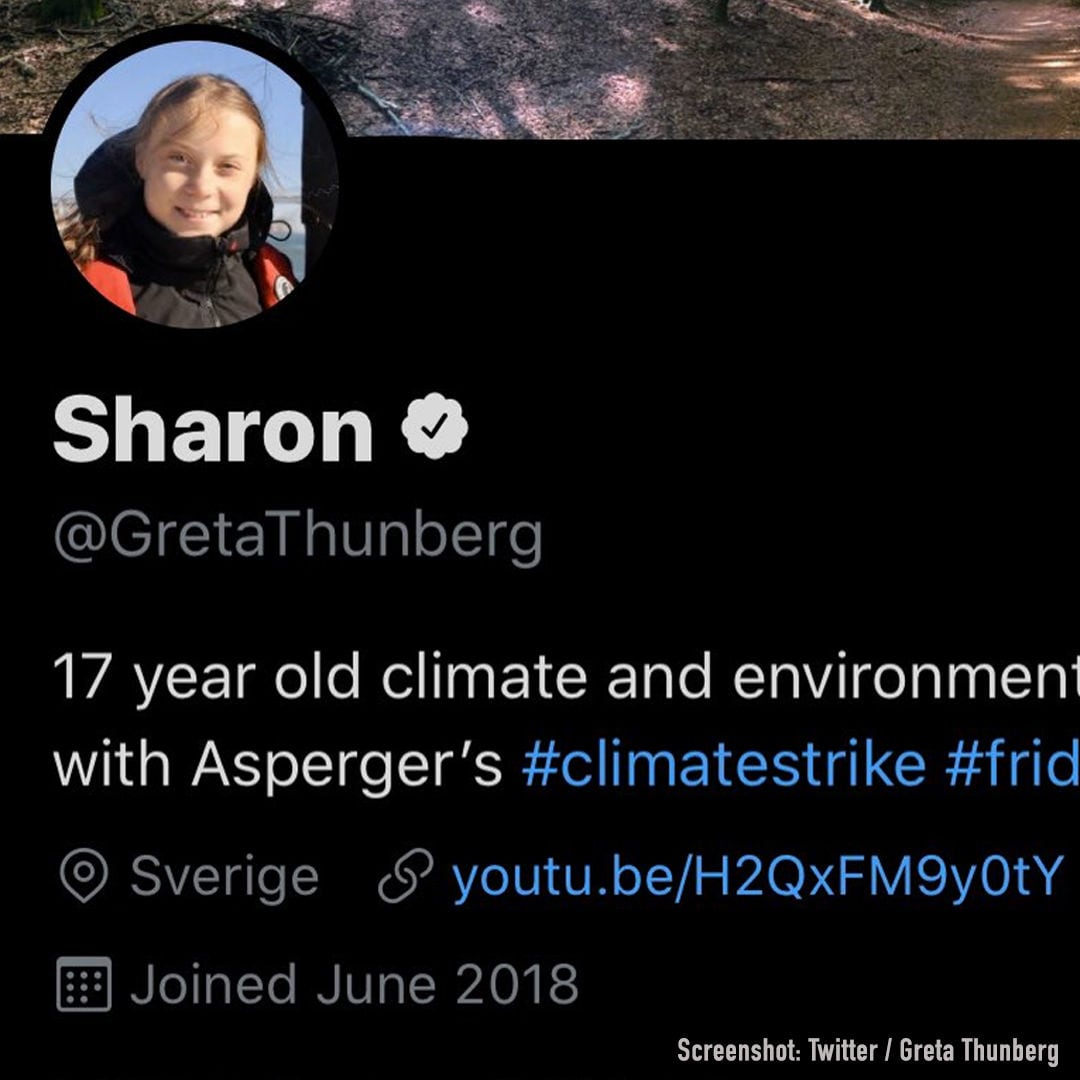 Screenshot Twitter / Greta Thunberg